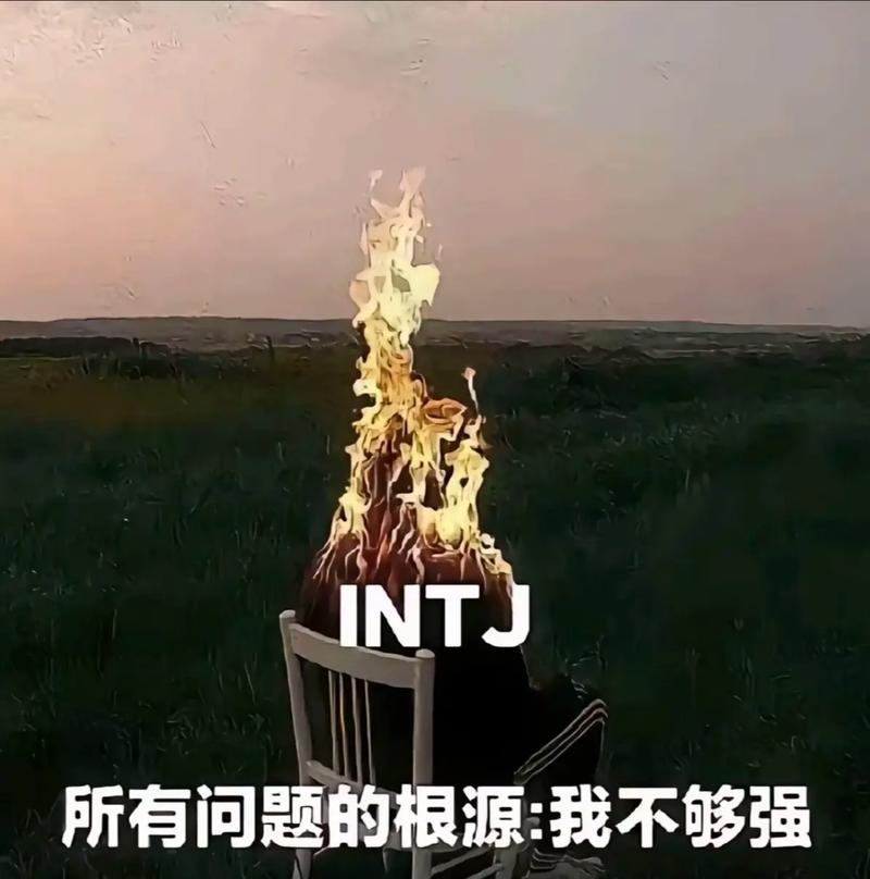 INTJ人格拟人形象