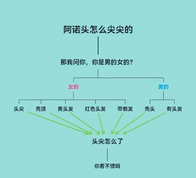 这是一张以逻辑流程图形式呈现的趣味梗图，用于回怼他人对“头尖”的质疑。图中起始问题为「阿诺头怎么尖尖的」，随后以反问「那我问你，你是男的女的？」展开分支：女性分支包含头尖、秃顶、黄头发、红色头发、带假发；男性分支包含秃头、有头发。所有分支最终都指向「头尖怎么了」，并以终极反问「你看不惯吗」收尾，用无差别覆盖所有发型、性别的逻辑，表达“头尖无需被质疑”的态度，风格搞笑又带点硬核怼人的爽感，没有双关、谐音梗等内容。
