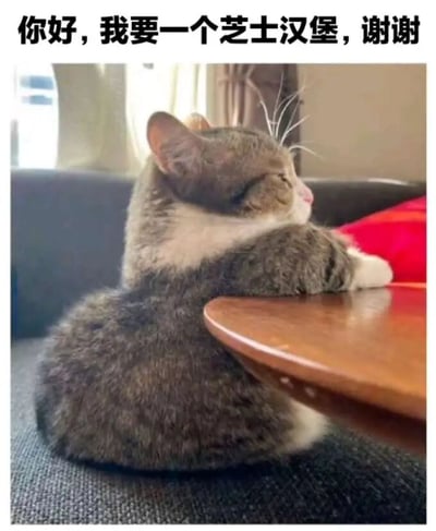 图片中是一只灰白花猫坐在沙发上，前爪搭在木质圆桌上，侧头望向右侧，姿态悠闲。图片顶部配有文字“你好，我要一个芝士汉堡，谢谢”，将猫咪拟人化，仿佛它正在像人类一样点餐，营造出幽默可爱的氛围。