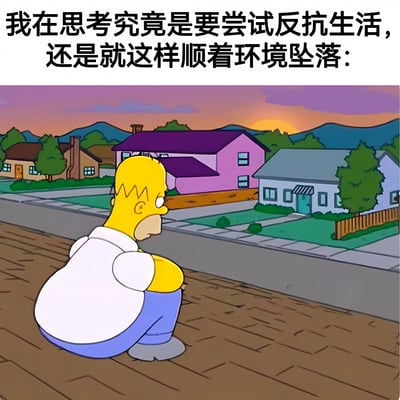 《辛普森一家》中的荷马·辛普森坐在屋顶上，背景是夕阳下的住宅区。图片上方配有文字：'我在思考究竟是要尝试反抗生活，还是就这样顺着环境坠落：'，展现了一种面对生活困境时的内心挣扎与迷茫。