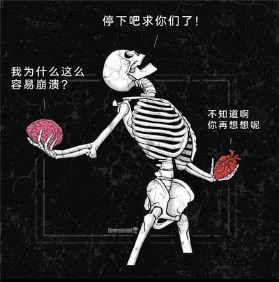 这是一幅以情绪内耗为主题的卡通插画，画面背景为深色裂纹质感，主体是一个呈现崩溃状态的骷髅，它身体后仰，双手分别托着代表理智的大脑和代表感性的心脏。大脑发出“我为什么这么容易崩溃？”的疑问，心脏则回应“不知道啊 你再想想呢”，骷髅仰头痛苦大喊“停下吧求你们了！”，将人们在情绪内耗时，理智与感性相互拉扯、自我消耗的心理状态，以直观生动的视觉形式展现出来，深色背景进一步强化了压抑、烦躁的氛围，精准传递出自我挣扎时的无力感。