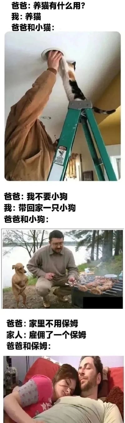 这是一张多图拼接的搞笑梗图，通过三个场景展现爸爸的“真香定律”：1. 爸爸起初质疑“养猫有什么用？”，结果画面中他站在绿色梯子上，伸手托举小猫够天花板；2. 爸爸说“我不要小狗”，当“我”带回家后，他和小狗一起在户外烧烤，小狗乖巧站在旁边；3. 爸爸称“家里不用保姆”，家人雇佣后，他和保姆一起在沙发上舒适躺睡。整体用对比手法突出爸爸从反对到喜爱的反转，充满家庭幽默。