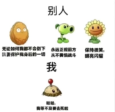 这是一张上下结构的对比式静态梗图，上方区域标注“别人”，展示了塔防游戏《植物大战僵尸》中的三个经典植物角色：坚果、豌豆射手、向日葵，并分别为它们配上充满正能量的文字：坚果的配文是“无论如何我都不会倒下 我要保护我身后的一切”，凸显其坚韧可靠的特质；豌豆射手的配文是“永远正视前方 从不畏惧战斗”，体现出勇敢向前的姿态；向日葵的配文是“保持微笑，明亮闪耀”，传递出积极乐观的形象。下方区域标注“我”，展示了游戏中的土豆地雷，配文为“哈哈，我等不及要去死啦”，利用土豆地雷接触僵尸就会爆炸的特性，自嘲自己消极摆烂、破罐破摔的心态。整张图通过“别人”的正面形象和“自己”的摆烂状态形成强烈反差，用游戏角色的特性来调侃当代年轻人在面对生活、工作压力时的自嘲情绪，幽默又扎心。