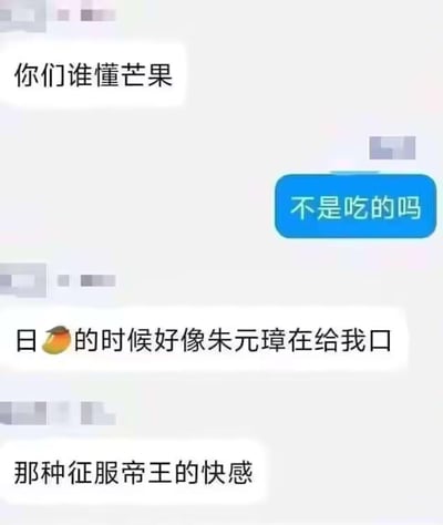 这是一段社交聊天记录截图，对话内容充满反差感与恶搞意味：有人发起提问“你们谁懂芒果”，回复者正常以为是指可食用的水果，随后对方突然抛出低俗且玩谐音梗的内容，将水果芒果谐音为“亡国”，结合历史人物朱元璋（明朝开国皇帝），编造出离谱的低俗表述，声称有“征服帝王的快感”，用正常认知与离谱低俗玩梗的制造强烈反差，达到恶搞搞笑的效果，同时内容存在低俗倾向。
谐音梗说明：“芒果”谐音“亡国”，结合朱元璋的帝王身份，制造荒诞的低俗联想。