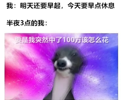 图片通过上下对比展现了生活中的真实矛盾：上方文字写着“我：明天还要早起，今天要早点休息”，表达了计划早睡的决心；下方则是“半夜3点的我：”配上一张鼬科小动物（可能是雪貂或白鼬）从彩色渐变背景中探出脑袋、眼神迷离傻笑的图片，图片上叠加文字“要是我突然中了100万该怎么花”，幽默地呈现了人们睡前明明想早睡却控制不住胡思乱想的状态。