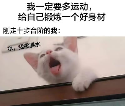 这张梗图上方是黑色文字写着"我一定要多运动，给自己锻炼一个好身材"，下方紧接着是"刚走十步台阶的我："，然后是一张白猫张大嘴巴、伸出舌头喘气的照片，猫的旁边配有文字"水，我需要水"。图片通过夸张对比，幽默地表现了人们立志运动却缺乏耐力的真实状态，走几步就气喘吁吁要喝水的样子。