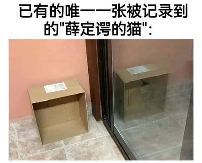 图片上方有黑色大字标题'已有的唯一一张被记录到的'薛定谔的猫':，下方是一张实拍照片，展示了墙角处一个打开的空纸箱和旁边一个透明的玻璃容器，两者内部均为空。这张梗图通过幽默的方式调侃量子物理中的'薛定谔的猫'思想实验，将理论中'猫处于生死叠加态'的概念具象化为'箱子里空无一物'的视觉效果，制造出荒诞又搞笑的反差感。