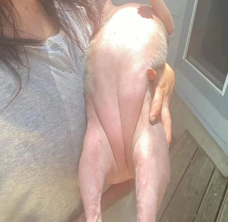 女子
