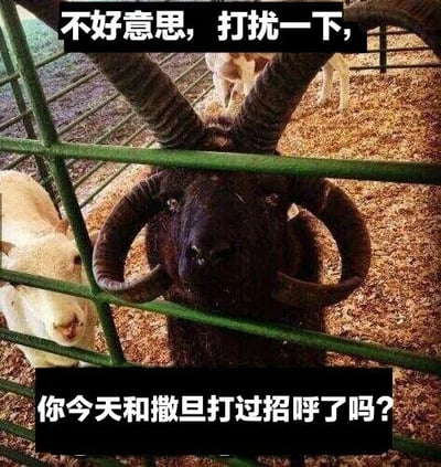 图片中是一只被关在绿色金属笼子里的黑色长角山羊，它的两只弯曲的大角十分显眼，背景中还有几只浅色山羊。图片上方和下方分别叠加了黑色文字框，内容为“不好意思，打扰一下，你今天和撒旦打过招呼了吗？”。通过将山羊的夸张大角与“撒旦”的形象进行联想，制造出幽默搞笑的效果，属于典型的动物表情包创作。