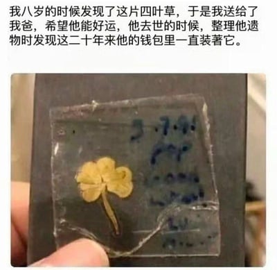 这是一张充满温情的图文内容，上方配文讲述了一段动人的亲情故事：发布者八岁时将找到的四叶草送给父亲，祈愿父亲好运，二十年后在整理父亲遗物时，才发现这枚四叶草被父亲珍藏在钱包里整整二十年。下方是被塑封保存的干枯四叶草，叶片泛黄，带着岁月的痕迹。整个内容没有双关、谐音梗，用最朴素的细节展现了深沉细腻的父爱，十分治愈感人。
