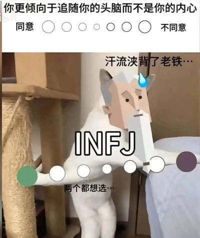 这是一张关于MBTI人格测试的搞笑梗图，图的上方是MBTI测试的典型题目“你更倾向于追随你的头脑而不是你的内心”，下方附有从“同意”到“不同意”的7档评分选项。图的主体是被P上INFJ人格专属低多边形老者头像的白色劈叉猫咪，猫咪张开双臂分别按住评分标尺最左侧的“同意”端和最右侧的“不同意”端，老者头像上还有冷汗特效，搭配配文“汗流浃背了老铁…”和“两个都想选…”，生动调侃了INFJ人格在做这类测试时常常在理性和感性之间拉扯、难以做出明确抉择的性格特点。
