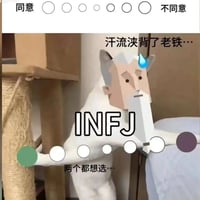 T人