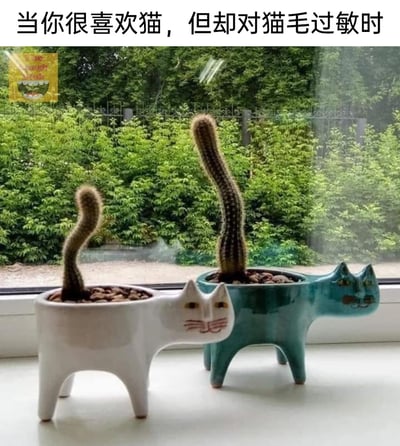 暂无描述