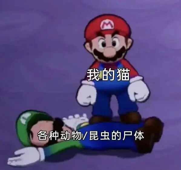 路易吉