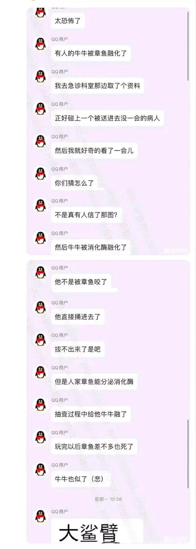 这是一段竖屏的QQ群聊截图，群内用户分享了一则荒诞离谱的急诊见闻：有男子轻信网传内容，将章鱼直接捅入下体，章鱼分泌的消化酶灼伤并造成其生殖器严重损伤，最终章鱼和生殖器都“报废”了。群聊最后用谐音梗“大鲨臂”（谐音“大傻逼”）吐槽该男子的离谱行为，整个内容充满猎奇感，让群友感到震惊又无语。
谐音梗说明：“大鲨臂”是“大傻逼”的谐音，用来隐晦吐槽该男子的愚蠢行为。