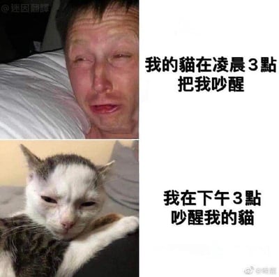 这是一张上下拼接的对比类梗图，上图是一位满脸崩溃、带着委屈哭相的男性躺在床上，配文“我的猫在凌晨3點把我吵醒”，生动表现出养猫人在凌晨被猫咪打扰睡眠后的痛苦与无奈；下图则是一只被吵醒后满脸不爽、眼皮耷拉的猫咪，配文“我在下午3點吵醒我的猫”，呈现出人类为了“报复”猫咪，在对应时间反过来吵醒猫的场景。通过这种角色互换、时间对应的反差，精准戳中养猫人的日常共鸣，制造出搞笑又解气的效果，没有双关、谐音梗等特殊修辞。