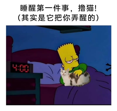 这是一张经过P图改编的搞笑合成图，结合了美国经典动画《辛普森一家》的场景与真实的三花猫咪图像。画面里，电子钟显示时间为凌晨4:00，动画角色巴特·辛普森带着睡眼惺忪、满脸不情愿的疲惫表情坐在床上，手放在被合成到他身前的三花猫咪身上，猫咪则看起来精神十足。图片上方配文“睡醒第一件事，撸猫！（其实是它把你弄醒的）”，精准还原了铲屎官被猫咪早早弄醒，虽不情愿但还是得陪撸猫的真实又无奈的养猫日常，用动画角色的疲惫和猫咪的精神形成反差，充满诙谐搞笑的氛围，戳中了众多铲屎官的共鸣点。