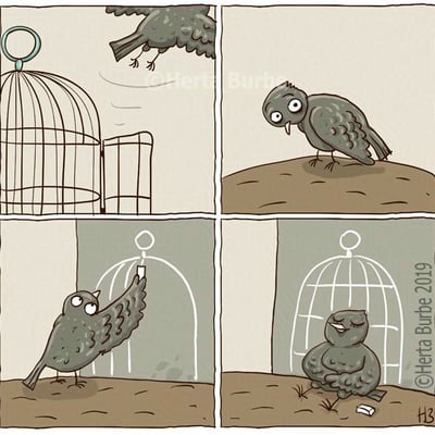 这是一组四格连环卡通漫画，讲述了一只小鸟的经历：第一格，小鸟从一扇敞开大门的鸟笼中飞了出去，看似终于挣脱束缚获得自由；第二格，小鸟落在地面上，睁着圆溜溜的眼睛，脸上露出迷茫、无措的神情，显然对突如其来的自由感到不适；第三格，小鸟用翅膀在地面上勾勒出一个鸟笼的轮廓，主动复刻曾经的“牢笼”；第四格，小鸟惬意地坐在自己画出来的“鸟笼”里，神态放松又满足，仿佛回到了熟悉的“舒适区”。漫画用这个充满讽刺意味的小故事，映射了现实中部分人群的状态：当长期处于被约束的环境后，突然获得自由反而无法适应，会主动给自己构建出“牢笼”，困在让自己安心的舒适区内。