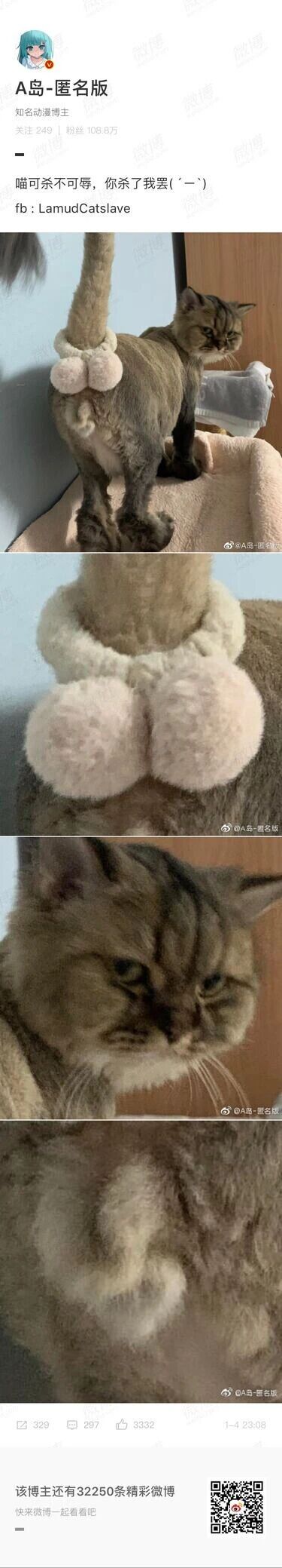 这是一组由四张图片组成的连环图，展示了一只英国短毛猫被主人恶搞后的状态。第一张图中，猫咪站在猫爬架上，尾巴根部被剃毛，还被套上了带有两个粉色毛球的白色圈饰，造型模仿人类屁股；第二张图是该装饰的特写，凸显出恶搞的趣味；第三张图是猫咪的脸部特写，它眉头紧皱、眼神幽怨、嘴角下撇，满脸都是生无可恋的怨念神情，完美呼应了配文的情绪；第四张图则展示了猫咪背部被剃出的特殊图案。配文“喵可杀不可辱，你杀了我罢(´-｀)”以拟人的方式精准表达了猫咪此刻崩溃、羞耻的心情，整体画面充满了搞笑又让人心疼的反差感。