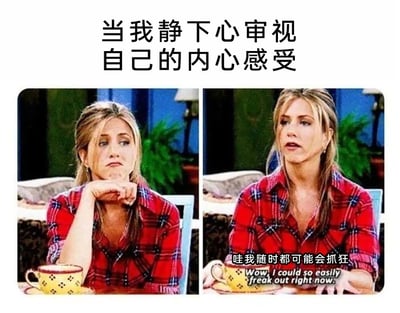 这是一张左右分栏的对比式梗图，改编自美剧《老友记》的剧照。左侧画面中，角色瑞秋·格林手托下巴，手肘撑在桌上，神情低落、若有所思，上方配文“当我静下心审视自己的内心感受”，营造出一种平静反思的氛围；右侧画面里，她身体前倾，双手放在桌上，表情惊讶又带着烦躁，下方配有中文字幕“哇我随时都可能会抓狂”以及对应的英文原文“Wow, I could so easily freak out right now.”。整幅图通过人物前后情绪与姿态的强烈反差，精准刻画出当代人在看似平静的表象下，内心实则被焦虑、烦躁填满，随时可能濒临崩溃的真实情绪状态，极易引发身处压力中的人们的情绪共鸣。