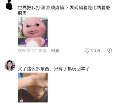 图片为两张社交媒体帖子截图拼接，展现日常吐槽场景。第一张图中粉色卡通猪配文“世界把我打倒 我顺势躺下 发现躺着是比站着舒服奥”，表达躺平的舒适；第二张图中人物用手遮脸，配文“买了这么多东西，只有手机玩回本了”，自嘲消费后只有手机物有所值。整体风格轻松幽默，反映年轻人的生活态度。
