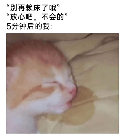 这是一张充满共鸣的搞笑梗图，上方文字模拟了日常赖床场景里的对话：先是有人（或自我提醒）说道“别再赖床了哦”，本人回应“放心吧，不会的”，随后用一张侧躺在床上、双眼紧闭睡得十分香甜的橘白小猫的照片，来表现5分钟后自己依然赖床的真实状态，精准戳中了很多人赖床时“嘴上答应行动诚实”的日常，搞笑又贴近生活。