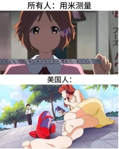 上图为一位棕色短发的动漫少女，身着粉色上衣与白色领结，手持标有刻度的尺子水平放置于胸前，上方文字标注“所有人：用米测量”，展现使用公制单位测量的常规场景；下图为一位红发动漫少女，身着黄色连衣裙，赤脚躺卧在户外石板路上，右手持手机贴于耳边，背景有绿树和远处站立的男性，上方文字标注“美国人：”。通过上下场景对比，以幽默方式调侃美国人不使用公制单位（米）的文化差异，用轻松的视觉反差呈现计量单位使用习惯的不同。