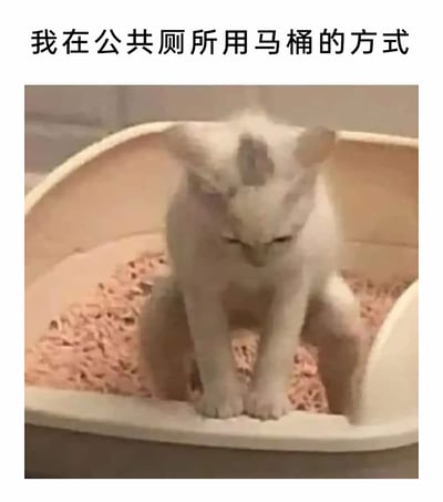 这是一张充满生活趣味的搞笑梗图，图片上方配有文字“我在公共厕所用马桶的方式”，下方是一只白色带灰斑的猫咪，它蹲在猫砂盆中，两只前爪搭在猫砂盆的边缘，后腿分开，姿势完美复刻了很多人在使用公共马桶时，为了避免接触马桶座圈而采取的蹲姿，精准地抓住了人们在公共厕所使用马桶时的拘谨与讲究，用猫咪的可爱行为调侃了这种日常小尴尬，极易引发大众共鸣，十分生动有趣。
