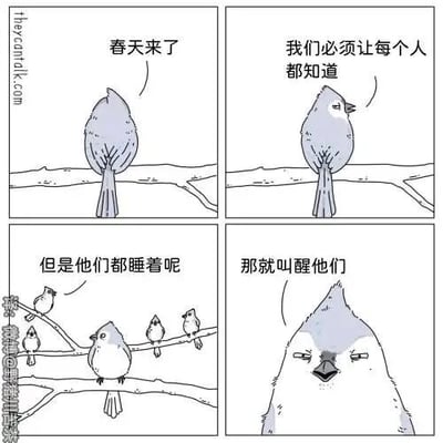 这是一则四格连环卡通漫画，采用动物拟人化的风格展开内容：第一格中，一只灰蓝色小鸟背对镜头站在树枝上，感慨“春天来了”；第二格它转过身，语气坚定地表示“我们必须让每个人都知道”；第三格画面切换到一群站在树枝上的小鸟，其中一只提出疑问“但是他们都睡着呢”；第四格是那只灰蓝色小鸟的凶狠特写，它强硬地回应“那就叫醒他们”。漫画通过小鸟的对话和神态转变制造反差幽默，将报春鸟的行为夸张化，用凶狠的态度来表现要叫醒大家的决心，充满趣味。