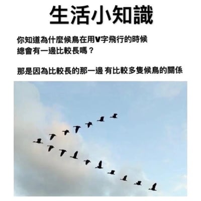 这是一张图文结合的搞笑冷笑话内容，以“生活小知识”为主题引出问题，提问“你知道为什么候鸟在用V字飞行的时候总会有一边比较长吗？”，随后给出无厘头的解答“那是因为比较长的那一边 有比较多只候鸟的关系”，下方的配图展示了一群候鸟的飞行队列，其中一侧的候鸟数量明显更多，队列更长，完美对应了解答内容，用一本正经的语气讲出毫无逻辑的冷笑话，制造出反差搞笑的效果。