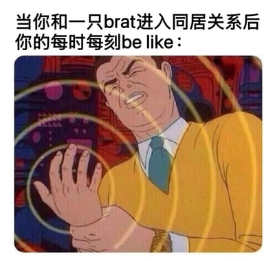 图片上方配有文字'当你和一只brat进入同居关系后你的每时每刻be like：'，下方是一位穿着黄色毛衣、系着蓝色领带的动画男性角色，他眉头紧锁，双眼微眯，嘴角下撇呈现痛苦表情，双手交握在胸前，周围环绕着金色光环特效，整体画面生动展现了与调皮捣蛋的伴侣同居后时刻处于崩溃无奈状态的情景。