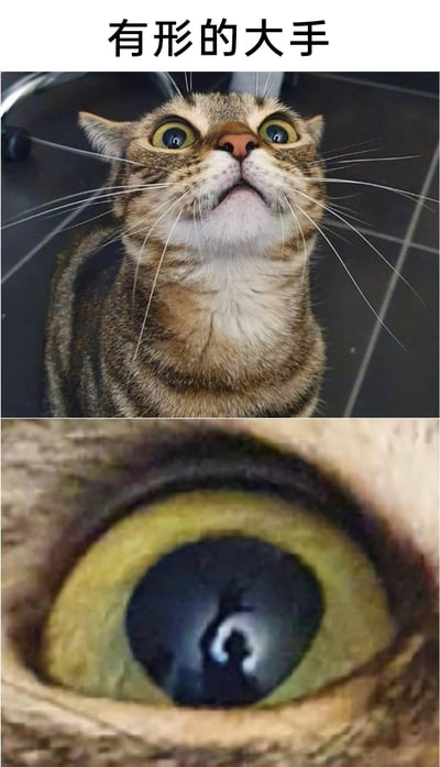 这是一张上下拼接的静态图，上方是一只狸花猫，它眼睛圆睁、抬头向上，露出震惊又惶恐的神情；下方是这只猫的眼睛特写，在它的瞳孔里能看到一个类似手的倒影。图片顶部配有文字“有形的大手”，通过猫咪的反应和瞳孔里的细节，隐喻生活中被某种无法抗拒的外力操控、监视时的压迫感与恐慌情绪，是一张带有隐喻色彩的趣味梗图。