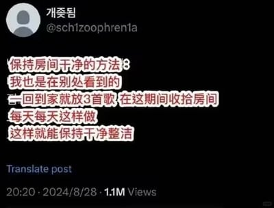 这是一张X（原Twitter）平台的社交媒体截图，截图顶部显示发帖用户的昵称是“개委됨”，账号为@schizoophren1a。截图中间用粉色高亮的文字分享了一个保持房间干净的实用小技巧：分享者称该方法是从别处看到的，具体做法为一回到家就播放3首歌，在歌曲播放的这段时间内收拾房间，每天坚持如此就能维持房间的干净整洁。截图底部显示该帖子的发布时间为2024年8月28日20:20，累计浏览量达到110万，同时还有“Translate post”的翻译功能按钮。