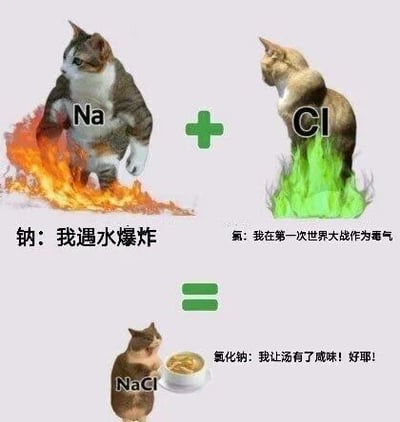 这是一张图文混排的P图改编静态图，以拟人化的猫咪形象来代表化学元素，通过三部分内容展示化学反应：左上是代表钠（Na）的猫咪，脚下有火焰，配文说明钠遇水会爆炸的特性；右上是代表氯（Cl）的猫咪，脚下有绿色火焰，配文说明氯在一战中被用作毒气的历史；下方是代表氯化钠（NaCl）的猫咪，面前摆放着一碗汤，配文说明氯化钠是让汤有咸味的食盐成分，中间用加号和等号串联，模拟化学反应式，用幽默趣味的方式将危险的化学元素反应后变成日常常见的物质，科普化学知识。