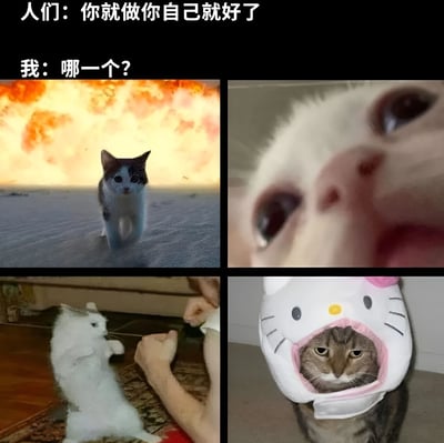 图片上方有两行白色文字，分别是'人们：你就做你自己就好了'和'我：哪一个？'。下方是2x2网格排列的四张猫咪图片：左上角是一只猫咪在爆炸背景前行走，表情严肃；右上角是猫咪脸部特写，眼睛睁大、嘴巴微张，显得惊讶；左下角是白猫站立起来，前爪抬起与人类手互动；右下角是猫咪戴着Hello Kitty造型的帽子，表情淡定。整体通过猫咪的不同状态幽默展现了'做自己'时面临的多面性困惑。
