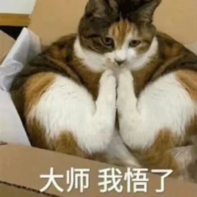 这是一张搞笑的静态表情包图片，主体是一只待在纸箱里的三花猫，它的两只前爪并拢放在嘴边，姿态酷似人类双手合十的模样，神态看起来平静又若有所思。图片底部配有白色的文字“大师 我悟了”，将猫咪的姿势与文字结合，营造出一种仿佛猫咪突然领悟了某个道理的诙谐效果，常被网友在社交聊天中用来表达自己突然想通某件事、有所顿悟的情绪。