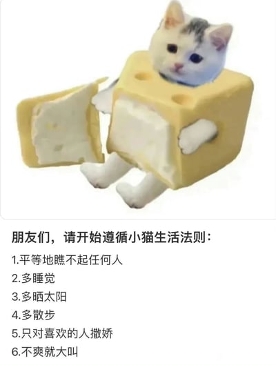 图片上半部分是一只灰白相间的小猫，它正坐在一个黄色的奶酪立方体中，奶酪立方体一侧被打开，小猫露出淡定的表情。下半部分是黑色文字，内容为“朋友们，请看开始遵循小猫生活法则：1.平等地瞧不起任何人 2.多睡觉 3.多晒太阳 4.多散步 5.只对喜欢的人撒娇 6.不爽就大叫”。整体风格可爱幽默，通过萌宠形象传达一种轻松自在的生活态度。