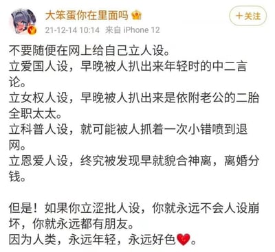 这是一张社交媒体截图，展示了用户"大笨蛋你在里面吗"发布的一条关于网络人设的帖子。帖子讨论了不同类型人设的风险，认为爱国、女权、科普和恩爱人设都容易崩塌，唯独"涩批人设"永远不会崩坏，因为"人类永远年轻，永远好色"。语言风格幽默讽刺，反映了网络文化中对人设现象的调侃。