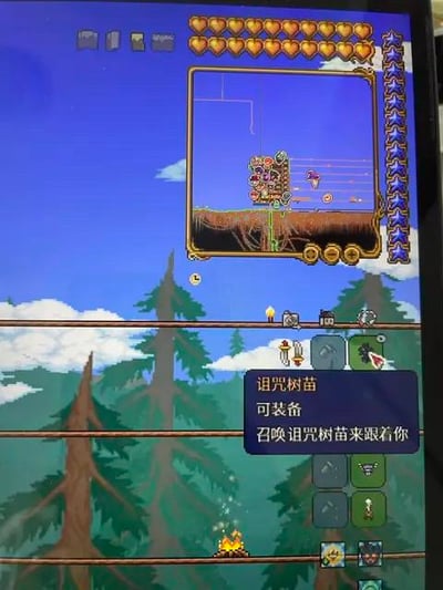 这是一张沙盒游戏《泰拉瑞亚》的屏幕截图，画面上方是游戏角色的状态UI，显示满额的生命值与魔力值；中间区域呈现角色所在的地下场景；下方是游戏物品栏，其中选中了“诅咒树苗”道具，道具提示框标注“可装备 召唤诅咒树苗来跟着你”，画面底部还有篝火与森林背景，整体为典型的像素风格游戏界面，展示了游戏中的召唤类道具。