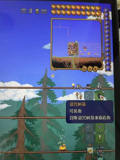 《泰拉瑞亚》