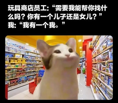 图片上方为对话文字：“玩具商店员工：‘需要我能帮你找什么吗？你有一个儿子还是女儿？’ 我：‘我有一个我。’”，下方是玩具店货架背景中一只表情拟人化的猫咪，它耳朵竖起，眼神略带困惑地抬头看，整体营造出成年人以“给自己买玩具”为借口的幽默场景，通过猫咪的可爱形象和无厘头对话传递出自我调侃的轻松氛围。