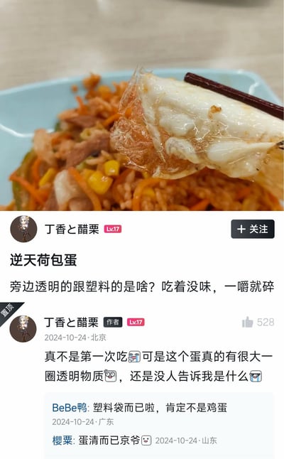 这是一张社交媒体帖子截图，图片上半部分为食物实拍：浅蓝色盘子盛着一份炒饭，深棕色筷子夹起一块荷包蛋，这块荷包蛋外围带有一圈半透明、质感类似塑料的怪异物质；下半部分是帖子内容，用户“丁香と醋栗”发布帖子标题为“逆天荷包蛋”，提问这块荷包蛋旁透明类似塑料的部分是什么，描述该物质吃着没味道，一咬就碎，补充说明自己不是第一次吃荷包蛋，但从来没见过这种情况，始终没人能解答这是什么物质；帖子下方有两条网友评论，一条猜测该透明物质是塑料袋，另一条解释说这就是蛋清。