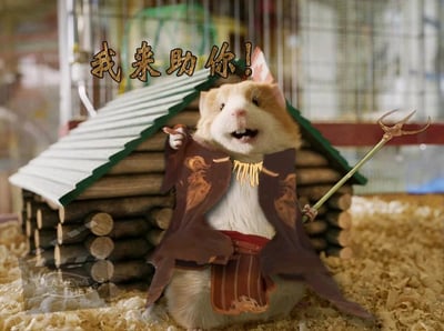 这是一张经过创意P图的搞笑表情包，主体是一只浅棕白相间的真实仓鼠，它被P上了带有纹饰的棕色战士披风与红色腰封，一只爪子握着迷你三叉戟道具，另一只爪子抬起指向前方，嘴巴张开，表情亢奋激动。图片上方配有醒目的文字“我来助你！”，背景是仓鼠的居住环境——铺着木屑的笼子与木屋小窝。可爱的仓鼠与勇猛战士的设定形成强烈反差，营造出滑稽搞笑的氛围，传递出“迷你救兵前来支援”的趣味感。