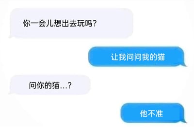 这是一张静态的聊天记录截图，画面中包含四段对话气泡，白色气泡代表邀约者，蓝色气泡代表被邀约者。邀约者首先询问被邀约者是否想要出门游玩，被邀约者没有直接回应，而是表示要问问自己的猫，这一回答引发了邀约者的疑惑，最后被邀约者以“他不准”为由，用猫咪作为可爱的借口，委婉地拒绝了外出邀约。整个对话充满趣味，用轻松可爱的方式表达了不想出门的想法，没有使用双关、谐音梗等特殊手法。