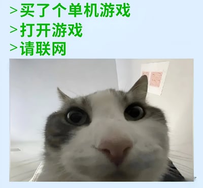 图片上半部分为浅绿色背景配绿色文字，内容是“买了个单机游戏 > 打开游戏 > 请联网”，以步骤形式呈现；下半部分是一张近距离拍摄的猫脸特写，猫咪眼睛瞪得很大，眼神中充满震惊和困惑，直视镜头。整体通过文字与猫咪表情的结合，幽默地表达了购买单机游戏后却被要求联网时的错愕与无奈情绪。