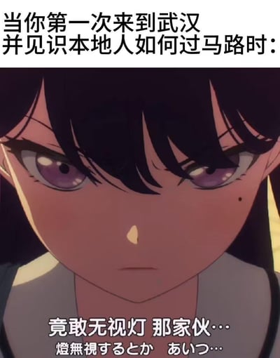该梗图由上方文字与下方动漫人物特写组成。上方文字为“当你第一次来到武汉并见识本地人如何过马路时：”，下方是动漫《堀与宫村》中角色堀京子的面部特写，她有着黑色长发、紫色眼眸，眉头微蹙，眼神锐利，表情严肃。图片底部配有文字“竟敢无视灯 那家伙…”及对应的日文“灯无视するとか あいつ…”，幽默地表现了初次来到武汉的人看到本地人过马路（可能存在不遵守交通信号灯的情况）时的震惊反应。