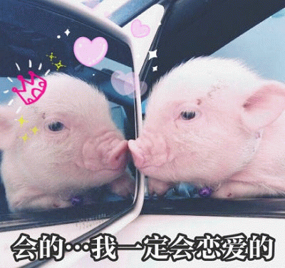 小猪对视：我一定会恋爱的