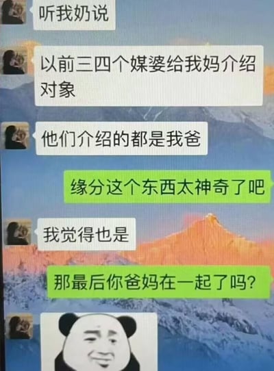 这是一段充满笑点的微信聊天记录截图：对话中一方分享“当年三四个媒婆给我妈介绍的对象都是我爸”的事，另一方感慨缘分神奇，随后却问出“那最后你爸妈在一起了吗？”的离谱问题——显然分享者的存在就已经说明爸妈肯定在一起了，这个后知后觉的问题制造出荒诞的搞笑效果，最后分享者用一张熊猫头无语表情包回应，进一步放大了对话的滑稽感。