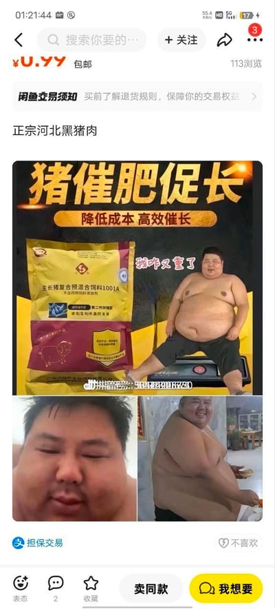这是一张闲鱼平台上的商品宣传截图，标题为“正宗河北黑猪肉”，实际主要推广猪催肥促长饲料。主图中一名赤裸上身的肥胖男子坐在体重秤上，身旁是黄色包装的“生长繁育预混合饲料1001A”，上方文字写着“猪催肥促长 降低成本 高效催长”，男子旁配文“猪咋又重了”，通过夸张的人体形象类比猪食用饲料后的肥胖效果。下方另有两张男子特写图，页面包含“¥0.99 包邮”“113浏览”等交易信息及闲鱼交易须知。
