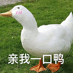 图片中是一只站立在绿色草地上的白鸭，鸭脸上有粉色腮红状的标记，显得十分可爱。图片下方配有文字“亲我一口鸭”，整体风格俏皮萌系，营造出一种请求亲吻的可爱氛围。